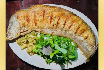 Cá Thác Lác Rút Xương 